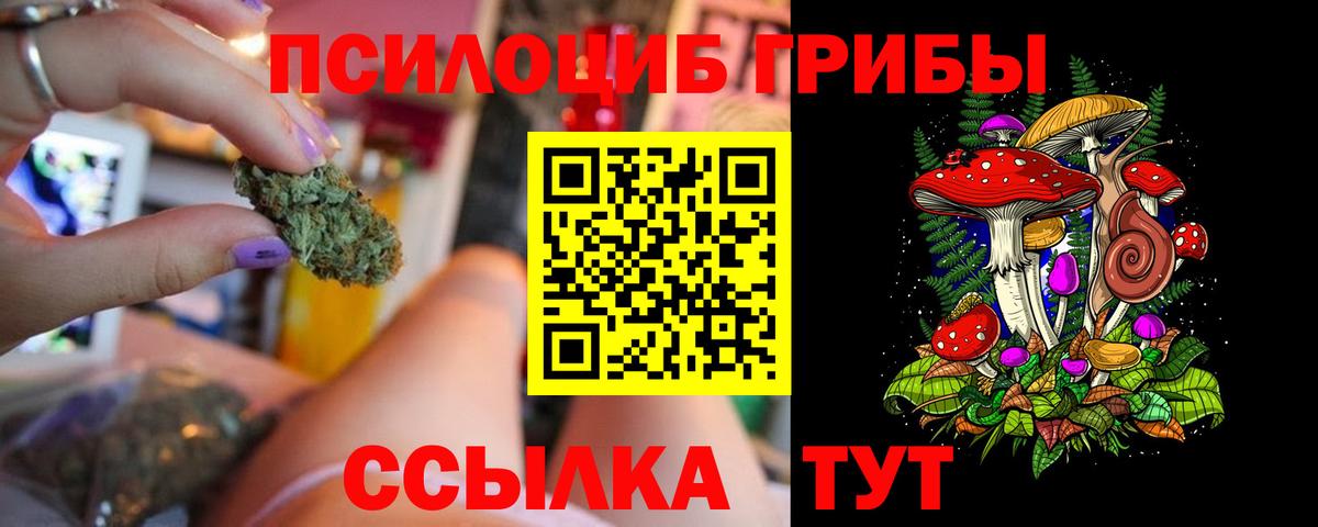 Псилоцибиновые грибы ЛСД  где продают   Вход с VPN  Магадан  Псилоцибиновые грибы мицелий 