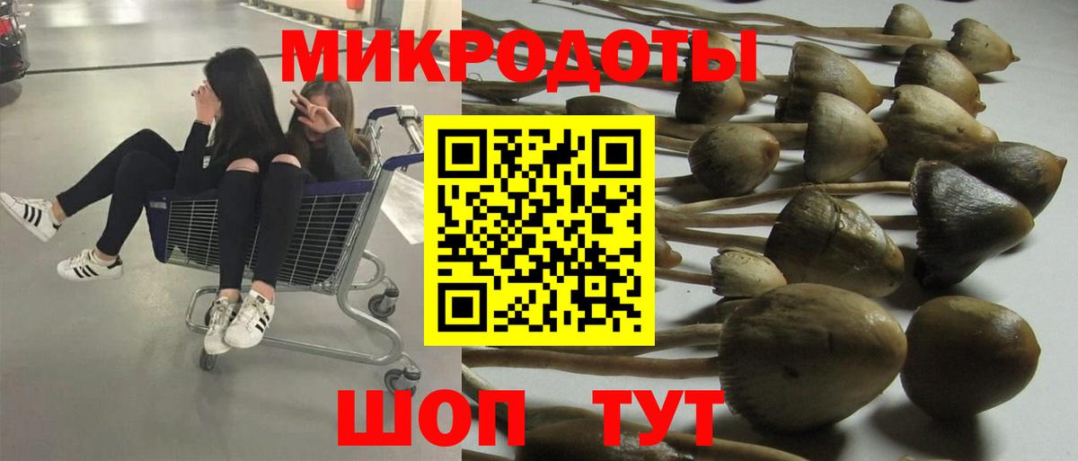 Псилоцибиновые грибы Magic Shrooms Магадан